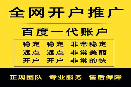 行业标杆：SEM推广代运营成功案例